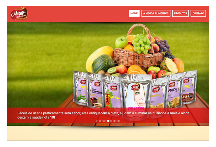 Sistema de Gestão e Site Institucional com Catálogo de Produtos